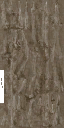 HD_M_1810_Cordyceps_a (2).png